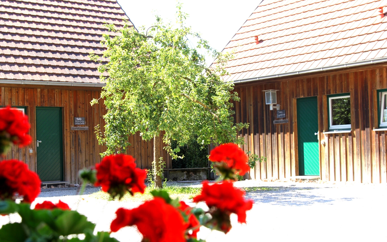 Ferienhäuser auf dem Bauernhof mit Carport und Innenhof.